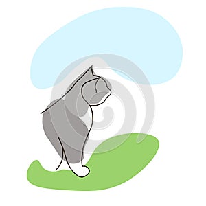 Grey cat online art